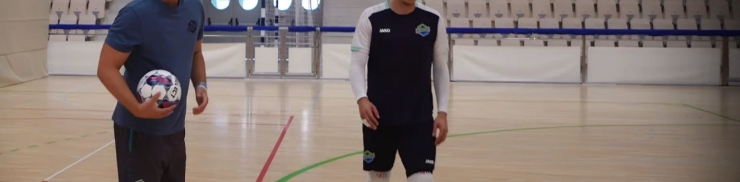 Vicenzo krstulovic opara